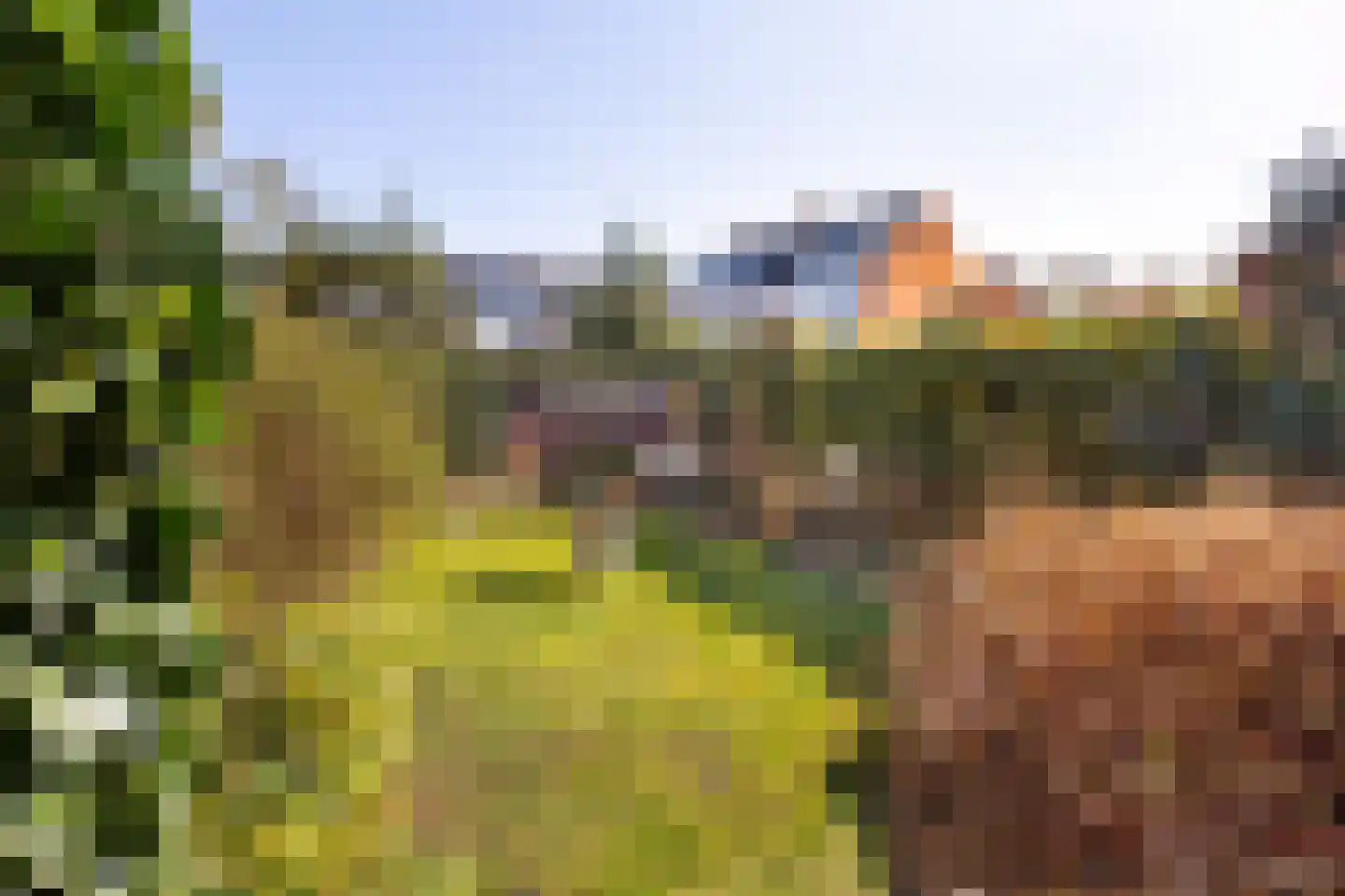 Korte Zijlweg 37 Haarlem thumbnail 16