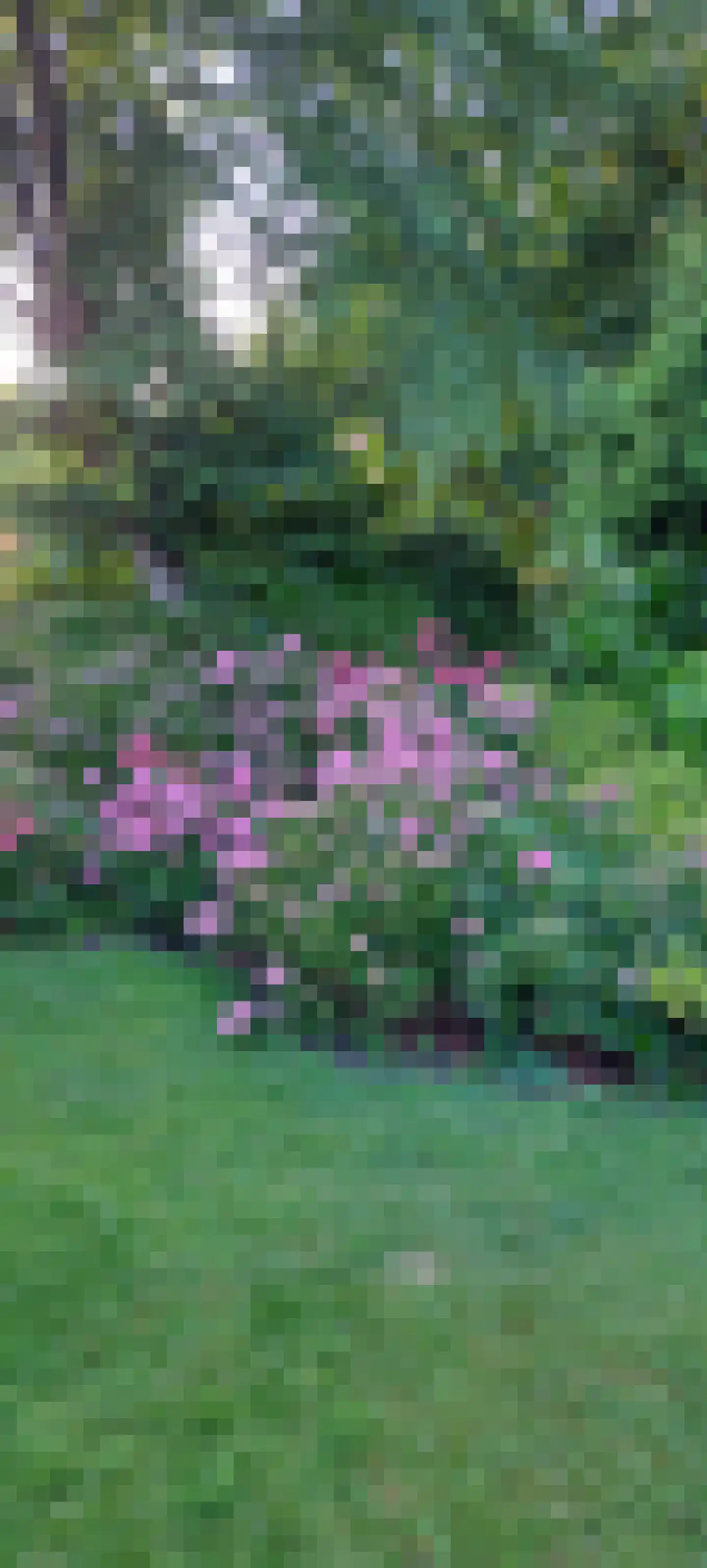 Korte Zijlweg 37 Haarlem thumbnail 38