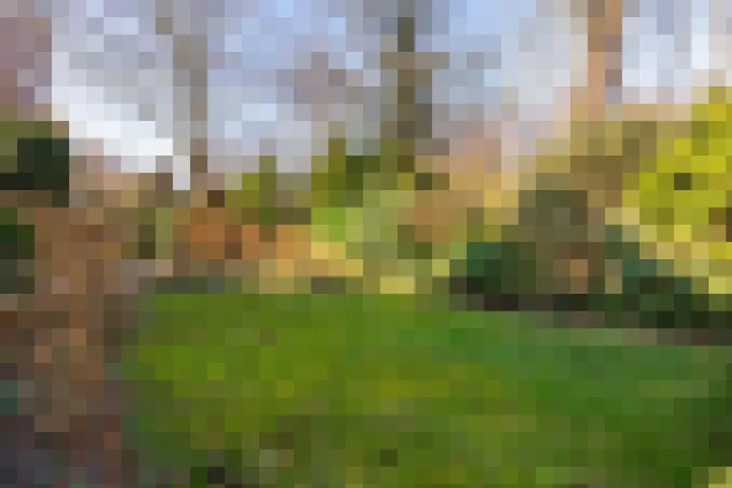 Korte Zijlweg 37 Haarlem thumbnail 42