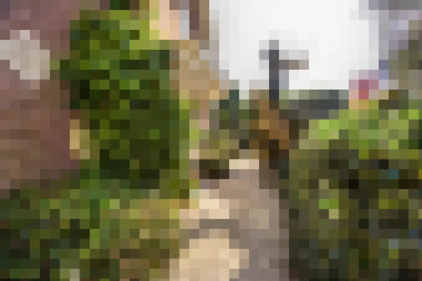 Korte Zijlweg 37 Haarlem thumbnail 43