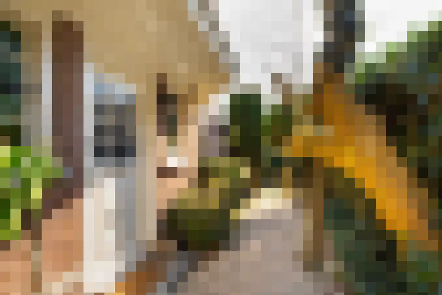 Korte Zijlweg 37 Haarlem thumbnail 44