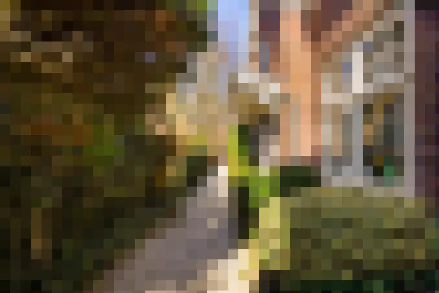 Korte Zijlweg 37 Haarlem thumbnail 45