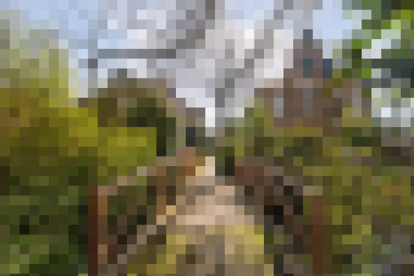 Korte Zijlweg 37 Haarlem thumbnail 47