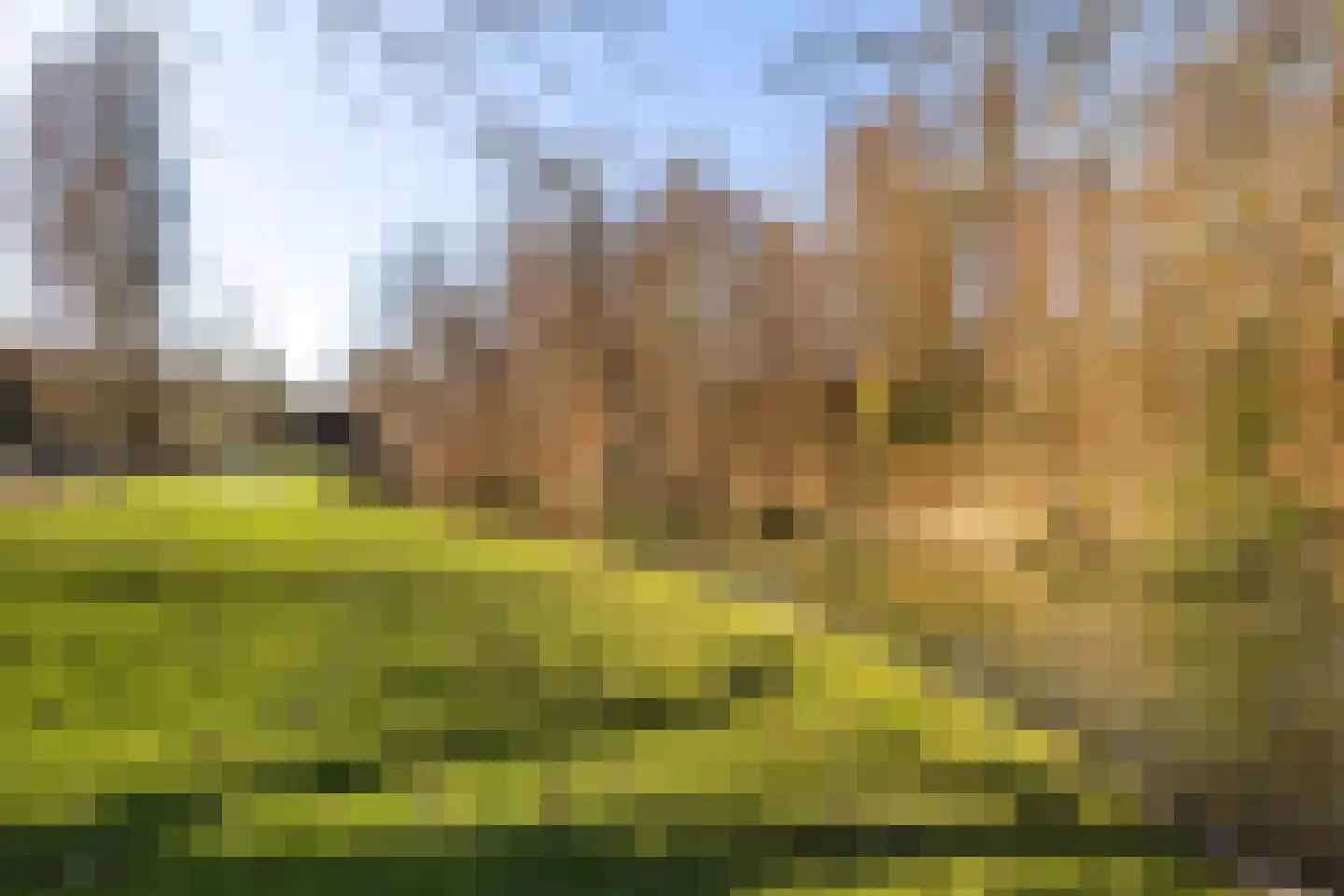 Korte Zijlweg 37 Haarlem thumbnail 49