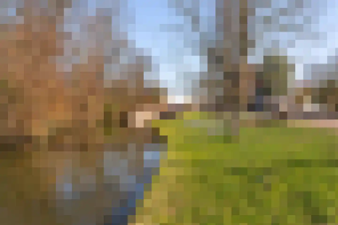 Korte Zijlweg 37 Haarlem thumbnail 50
