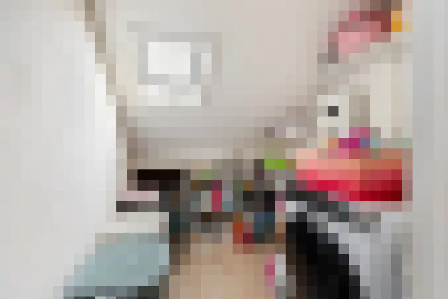 Kortebeinstraat 19 Apeldoorn thumbnail 28