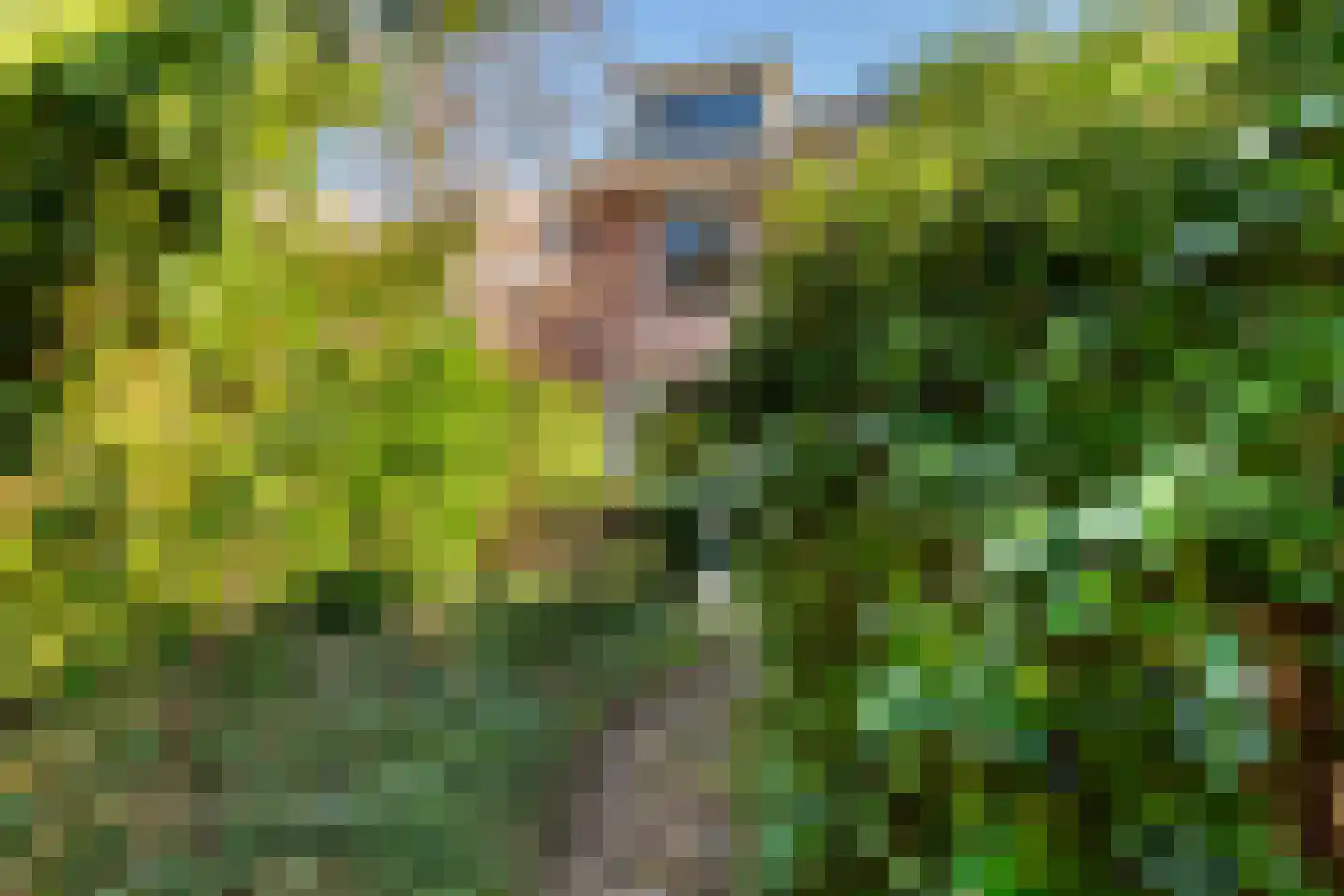 Kortebeinstraat 19 Apeldoorn thumbnail 34