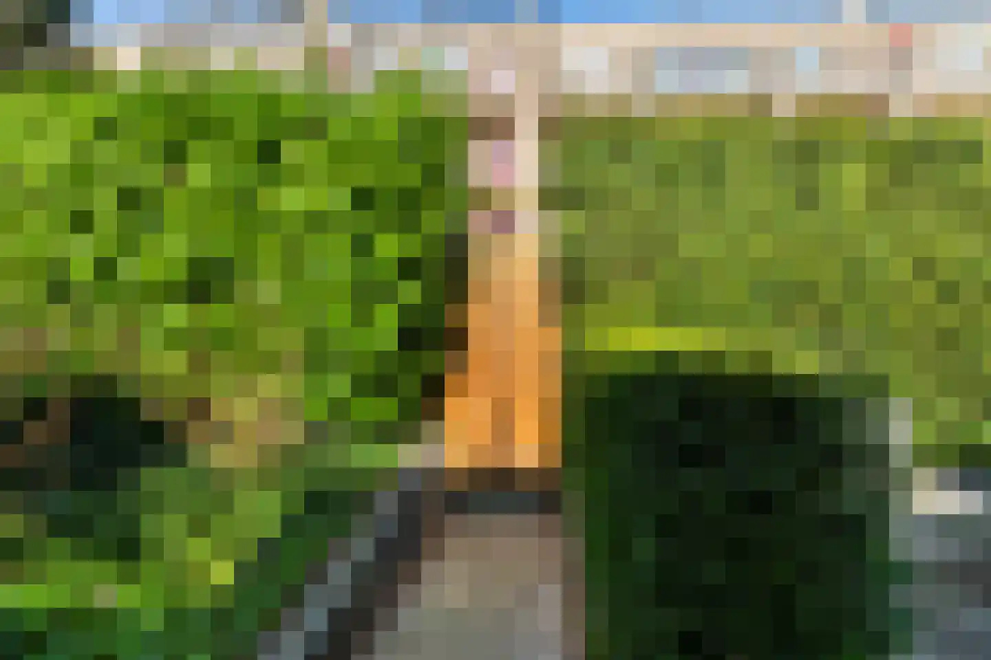 Kortebeinstraat 19 Apeldoorn thumbnail 35