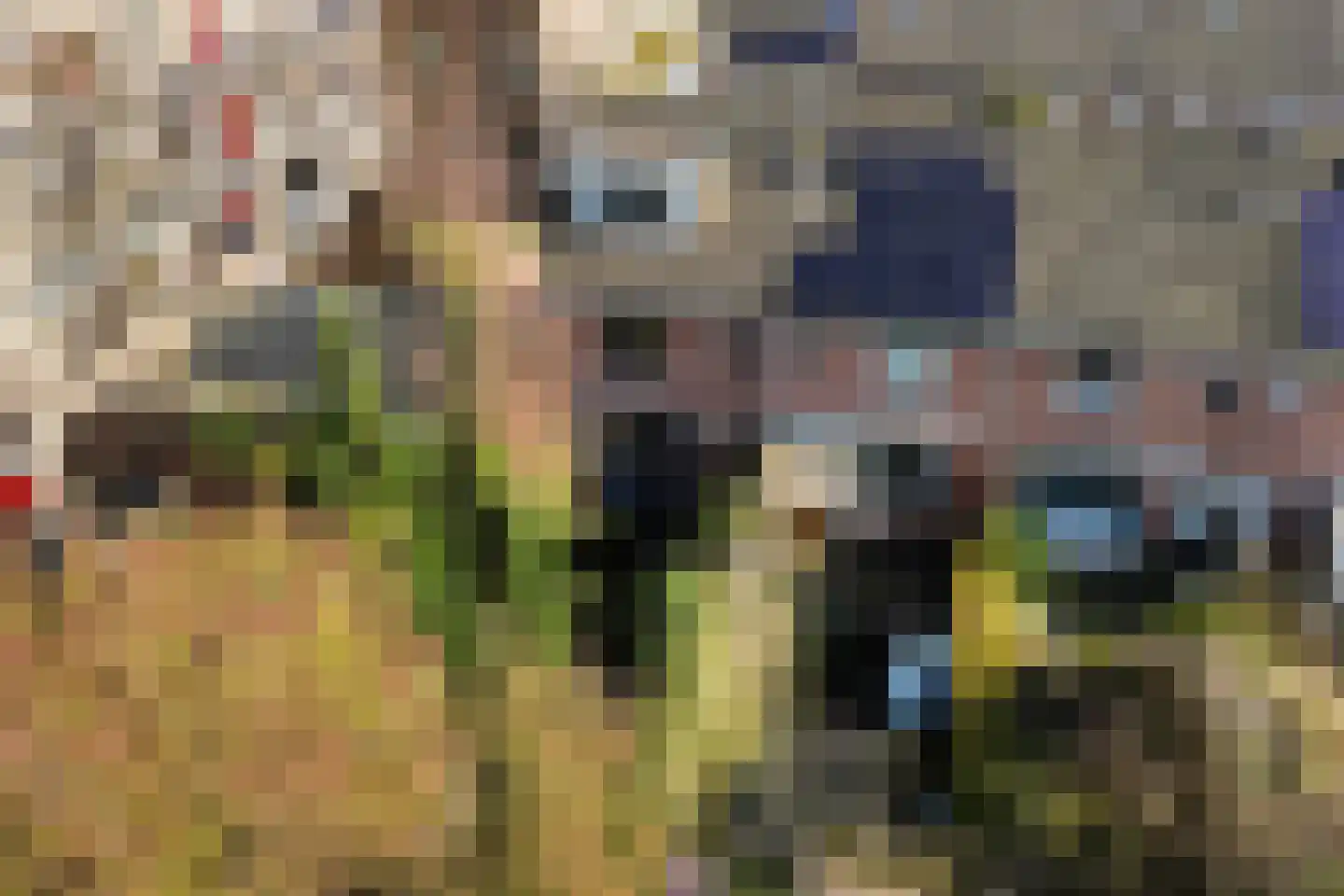 Kortebeinstraat 19 Apeldoorn thumbnail 42