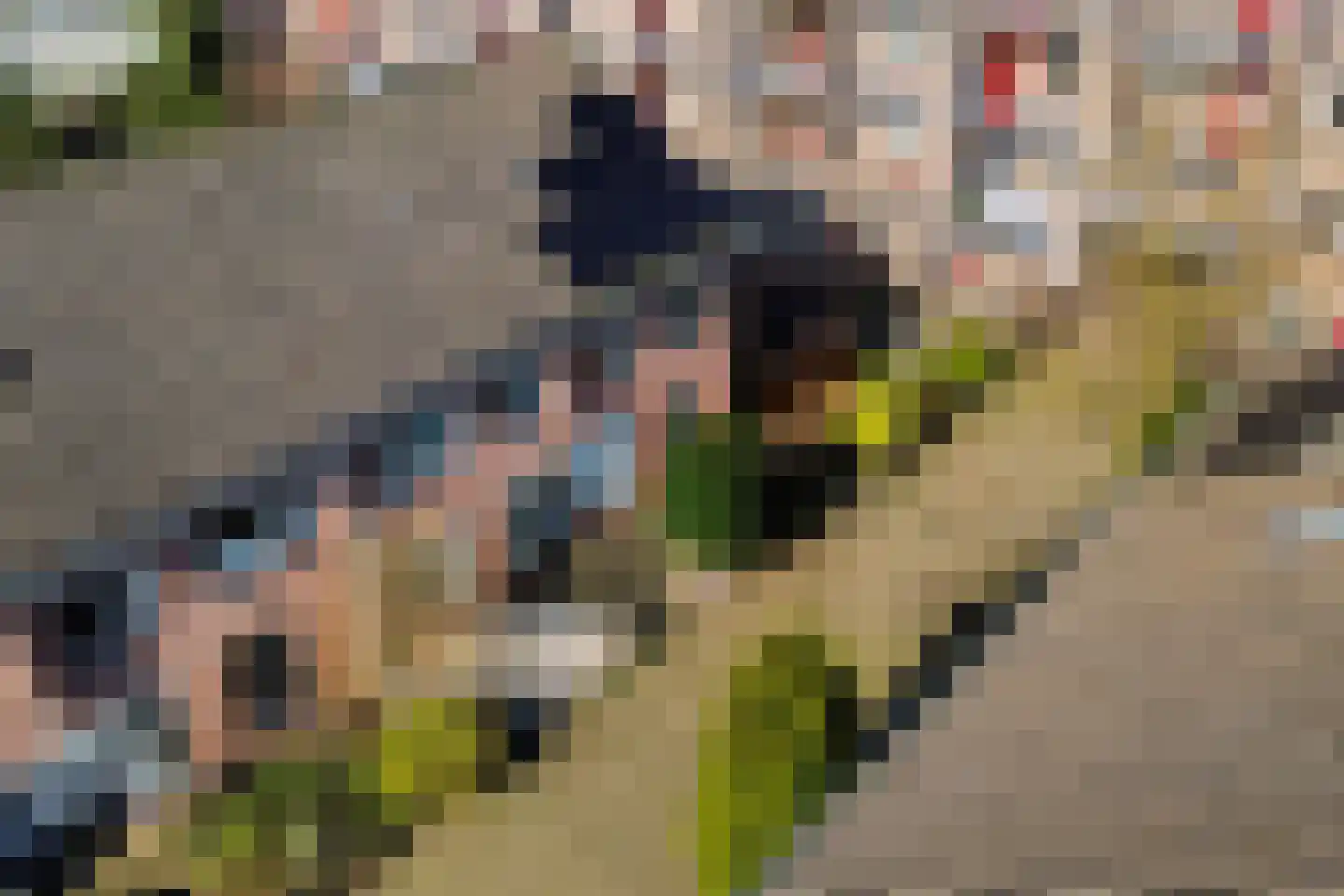 Kortebeinstraat 19 Apeldoorn thumbnail 44