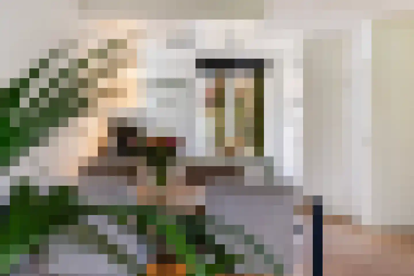 Kortebeinstraat 19 Apeldoorn thumbnail 5
