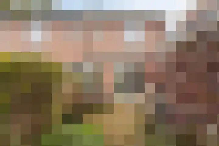 Kortebeinstraat 20 Apeldoorn thumbnail 13