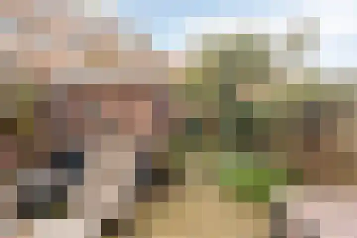 Kortebeinstraat 20 Apeldoorn thumbnail 14