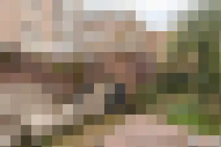 Kortebeinstraat 20 Apeldoorn thumbnail 15
