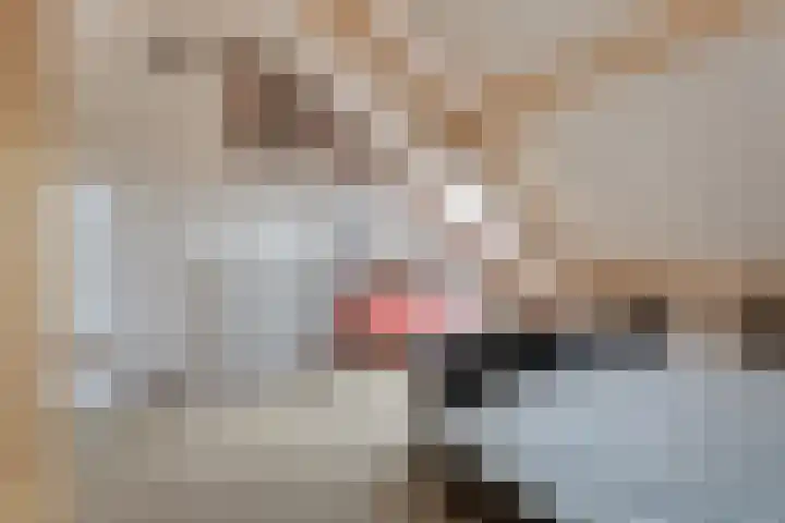 Kortebeinstraat 20 Apeldoorn thumbnail 23
