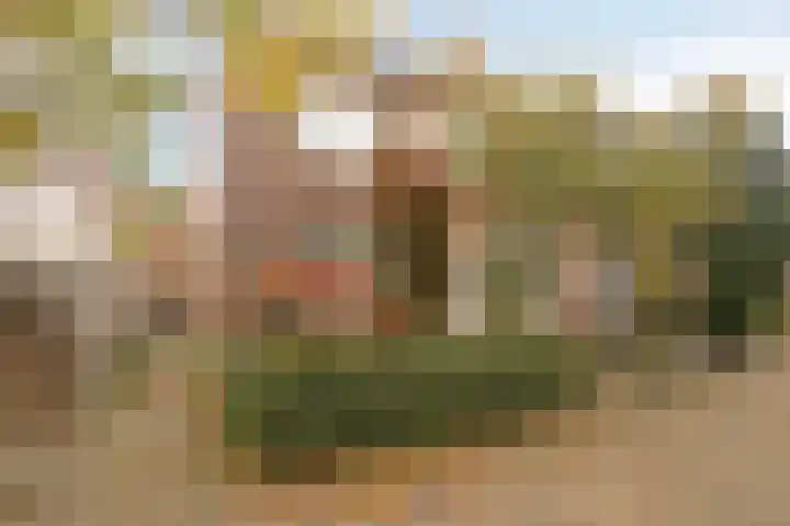 Kortebeinstraat 20 Apeldoorn thumbnail 4
