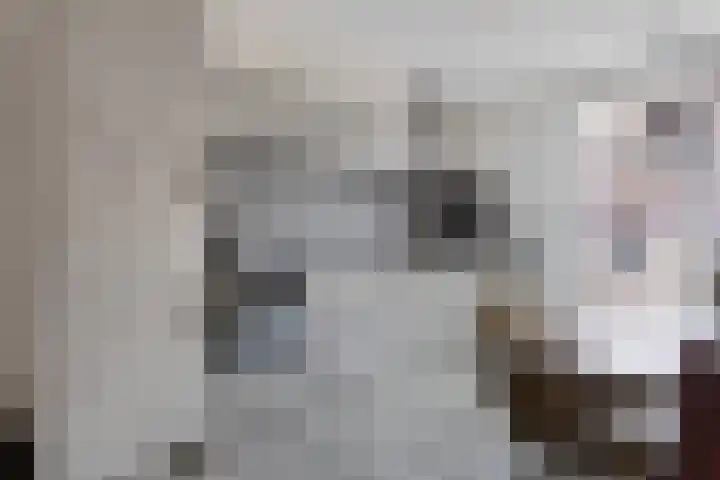 Kortebeinstraat 20 Apeldoorn thumbnail 8