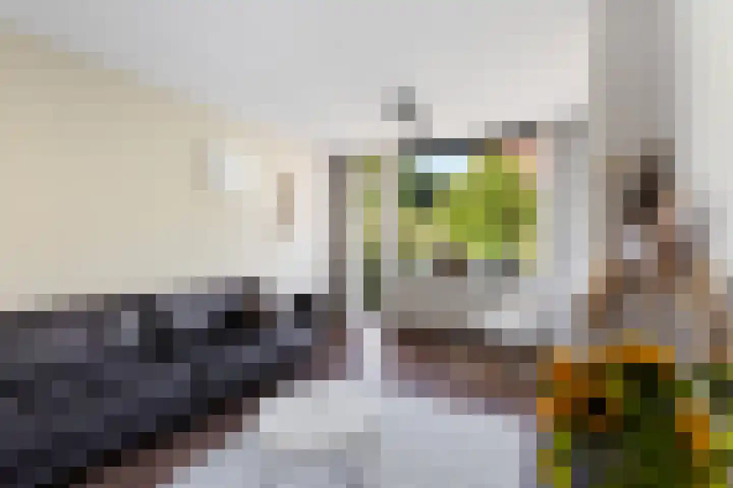 Kortebrantstraat 29 Rotterdam thumbnail 11
