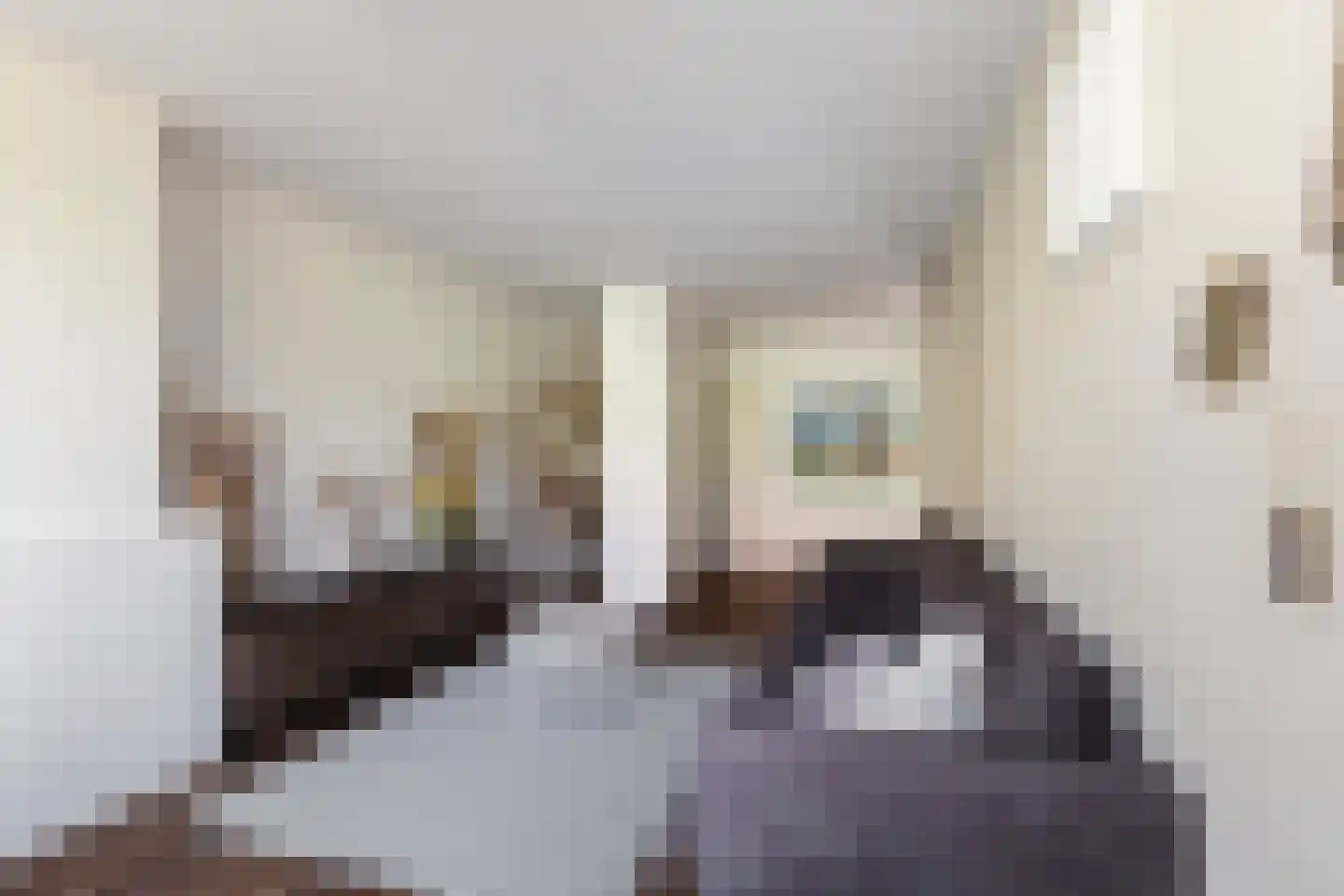 Kortebrantstraat 29 Rotterdam thumbnail 17