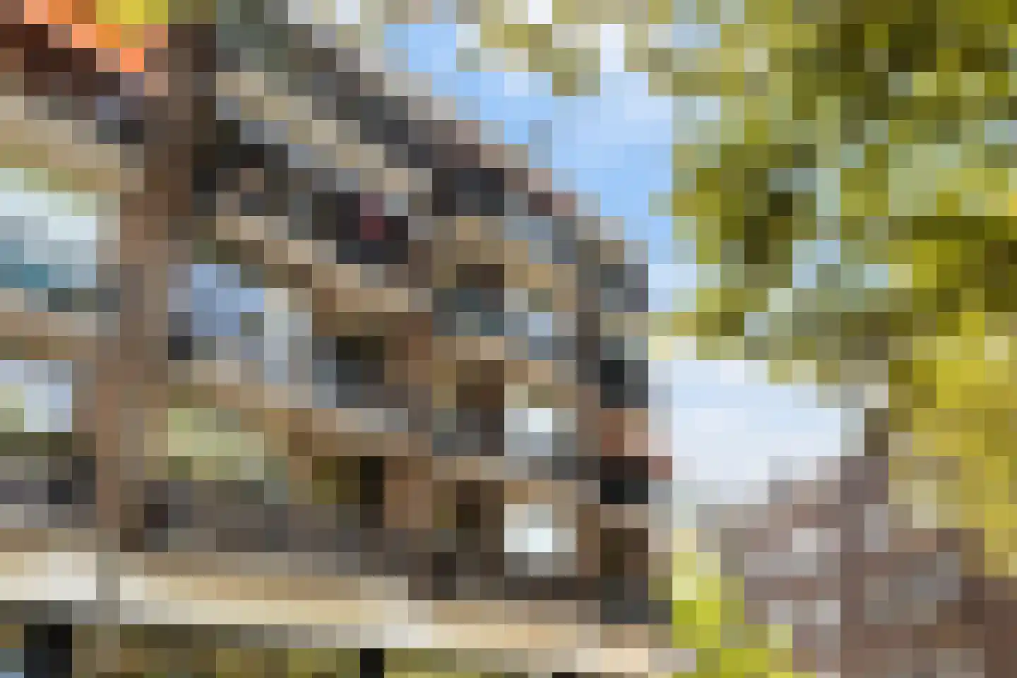 Kortebrantstraat 29 Rotterdam thumbnail 41