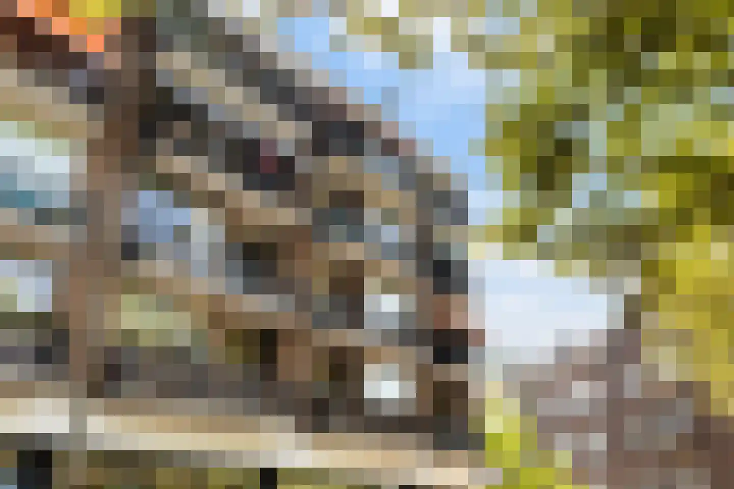 Kortebrantstraat 29 Rotterdam thumbnail 41