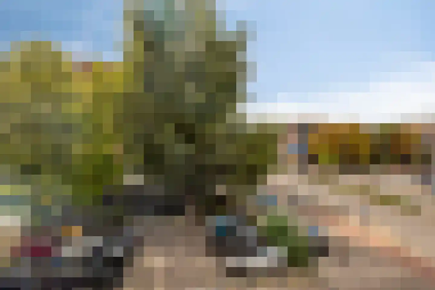 Kortebrantstraat 35 Rotterdam thumbnail 32