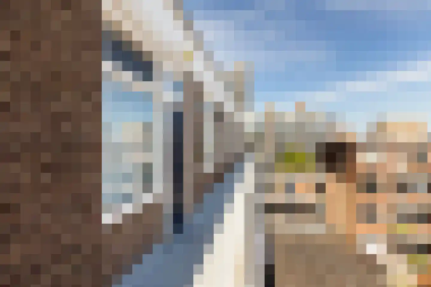 Kortebrantstraat 59 Rotterdam thumbnail 30