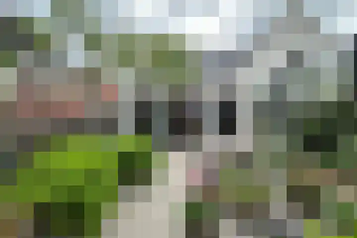 Kortegracht 5 A Amersfoort thumbnail 19