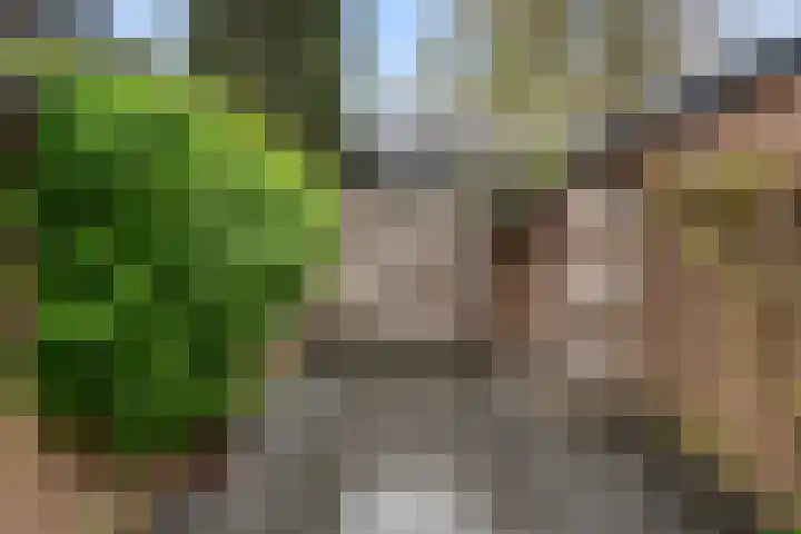 Kortehoven 17 Bennekom thumbnail 16