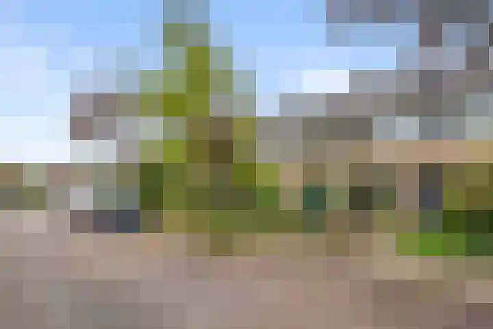 Kortehoven 17 Bennekom thumbnail 8