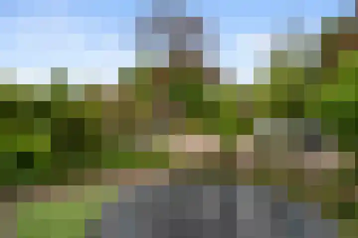 Kortehoven 17 Bennekom thumbnail 9