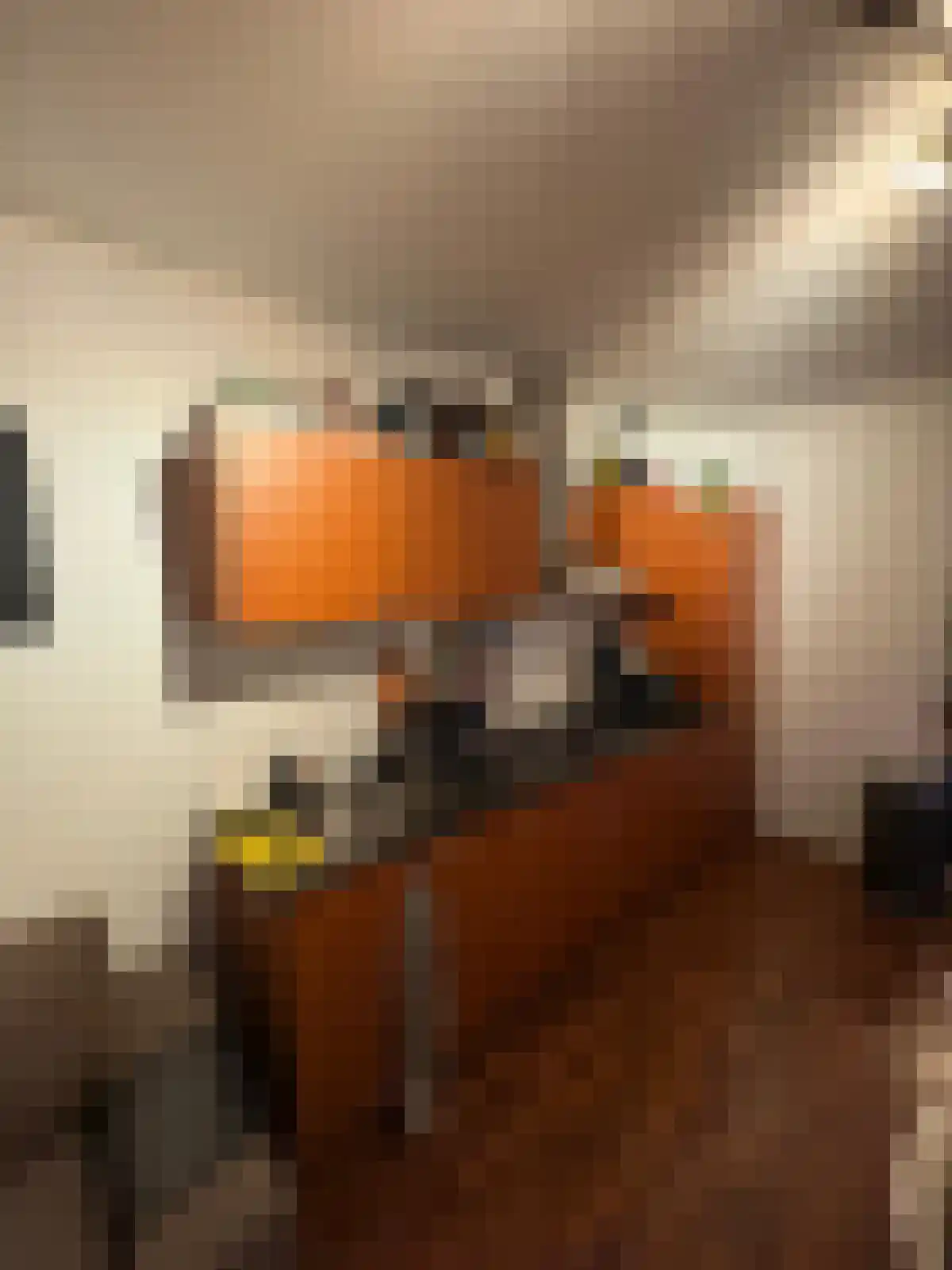 Kortekade 1 Rotterdam thumbnail 4