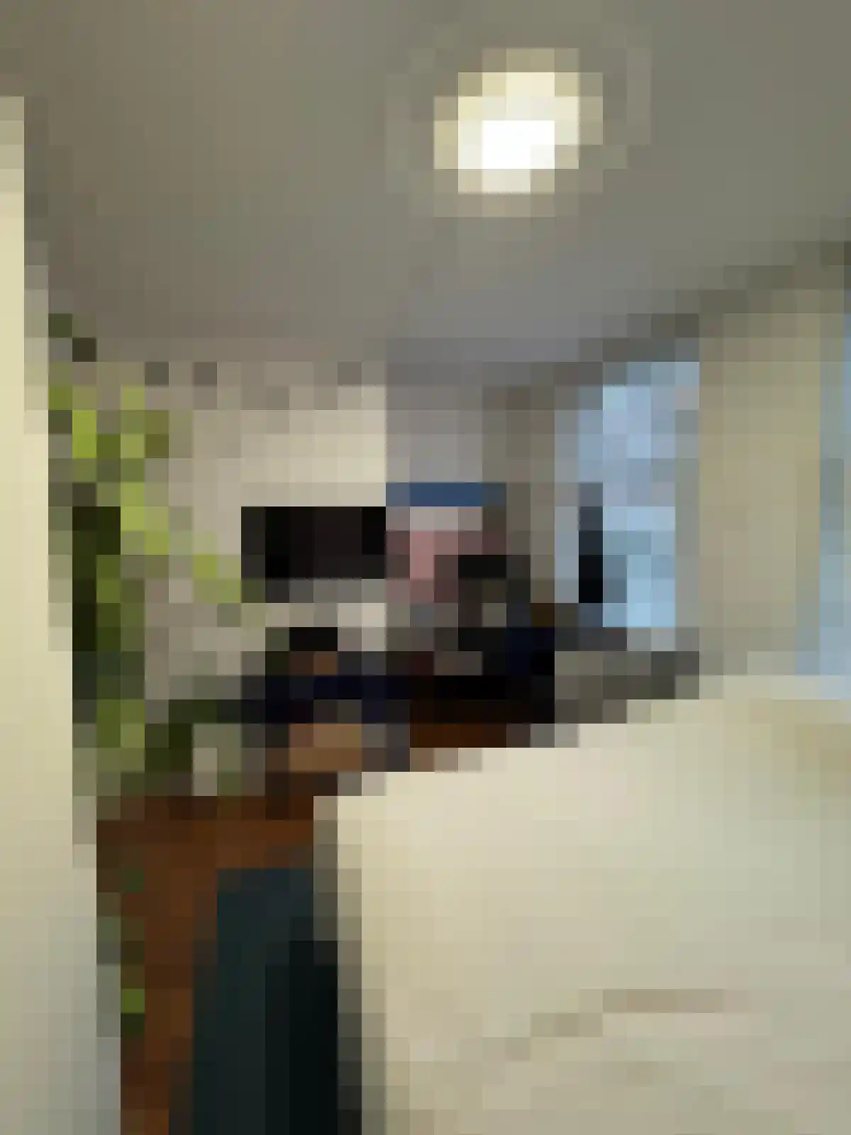 Kortekade 1 Rotterdam thumbnail 6