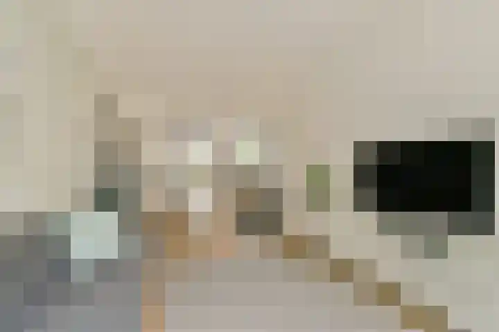 Kortekade 115 A Rotterdam thumbnail 13