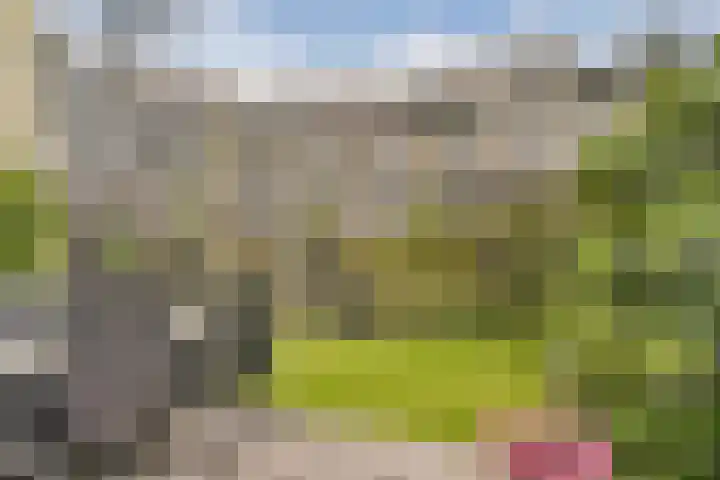 Kortekade 115 A Rotterdam thumbnail 22