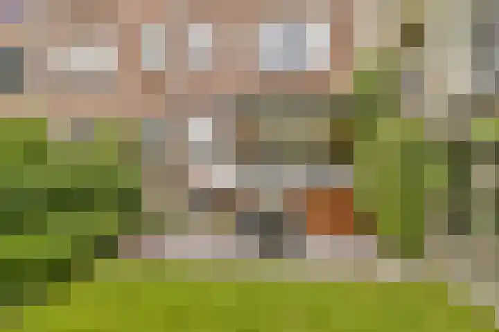 Kortekade 115 A Rotterdam thumbnail 25