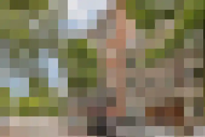 Kortekade 115 A Rotterdam thumbnail 37