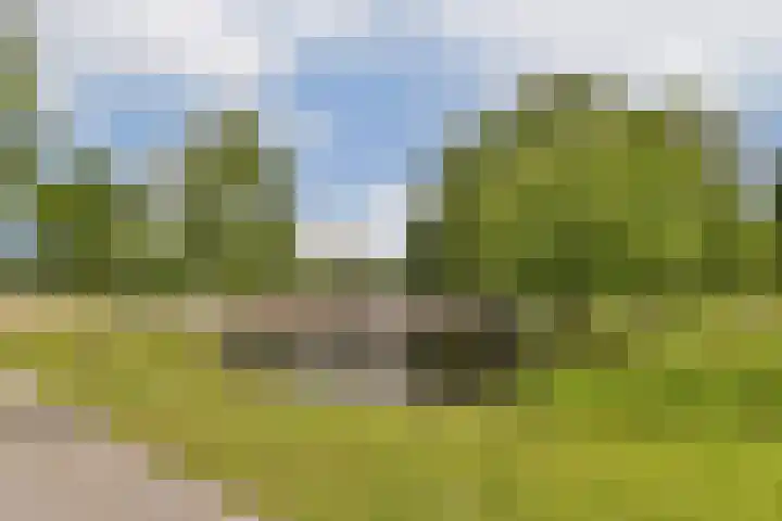 Kortekade 115 A Rotterdam thumbnail 38
