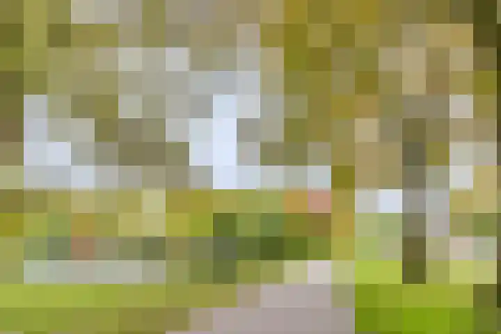 Kortekade 115 A Rotterdam thumbnail 39
