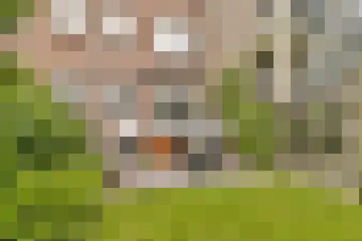 Kortekade 115 A Rotterdam thumbnail 4