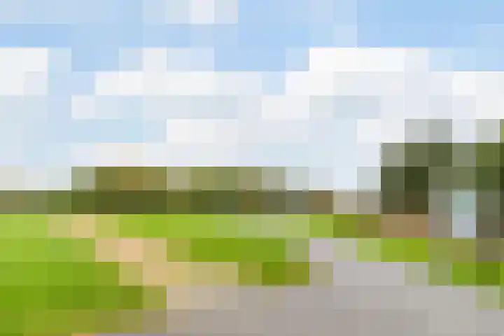Kortekade 115 A Rotterdam thumbnail 40