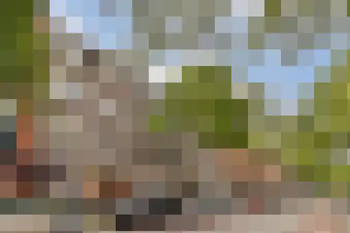 Kortekade 115 A Rotterdam thumbnail 46