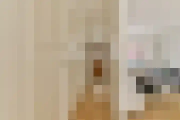 Kortekade 115 A Rotterdam thumbnail 9