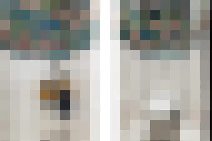 Kortekade 124 B Rotterdam thumbnail 16