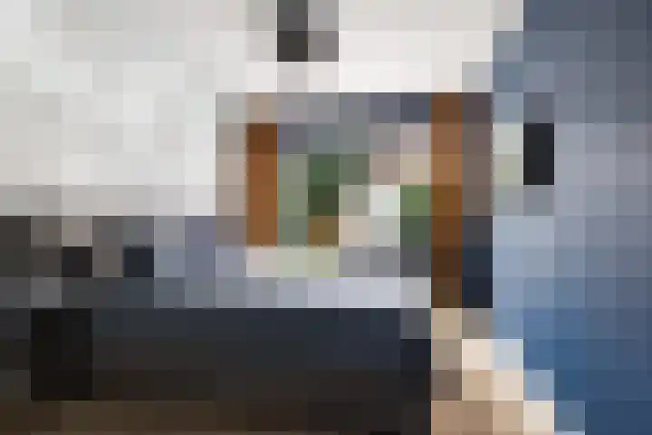 Kortekade 124 B Rotterdam thumbnail 17