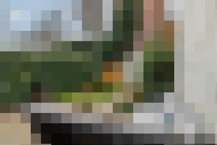 Kortekade 124 B Rotterdam thumbnail 18