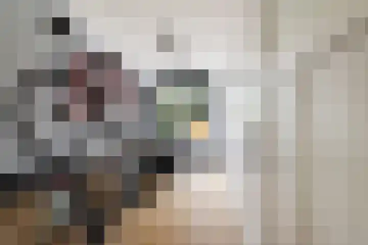 Kortekade 124 B Rotterdam thumbnail 24