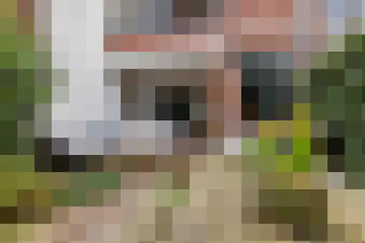 Kortekade 124 B Rotterdam thumbnail 25