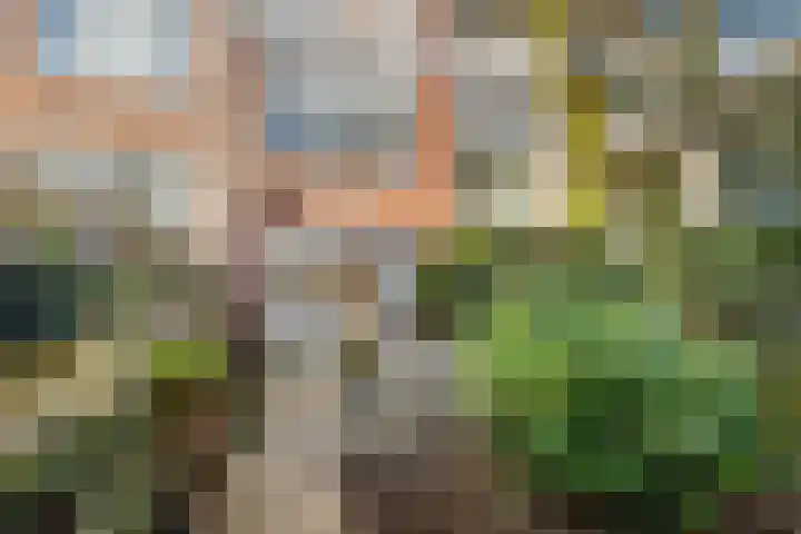 Kortekade 27 A 02L Rotterdam thumbnail 19