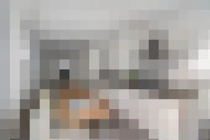 Kortekade 31 A Rotterdam thumbnail 10